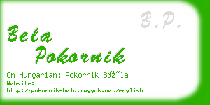 bela pokornik business card